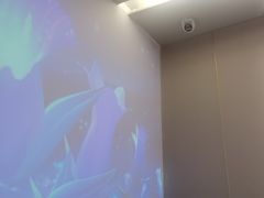 -宏宴·新京菜(望京店)