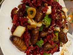 -冰城串说·羊肉串烧烤(哈西大街店)