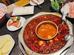 -一斗火锅·招财羊毛肚(北温泉九号店)