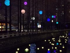 -锦江乐园舞狸花花游园会(夜场专享)