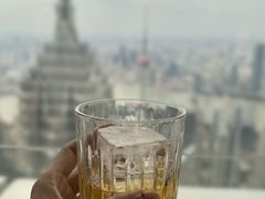 -The lounge 柏悦酒店大堂酒廊(上海环球金融中心店)