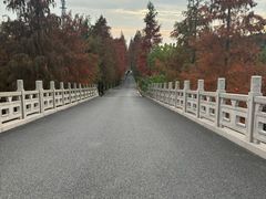 -广富林郊野公园