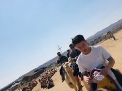 -水洞沟旅游区