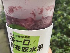 -树夏(锦里店)