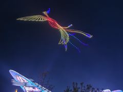 -第35届青岛国际啤酒节