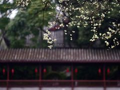 -成都市文化公园