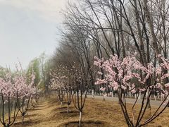 -东郊湿地公园