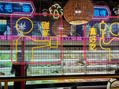 -老马路串串香火锅(北门桥店)