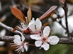 -外高桥保税区南(地铁站)