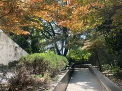 -峙山公园
