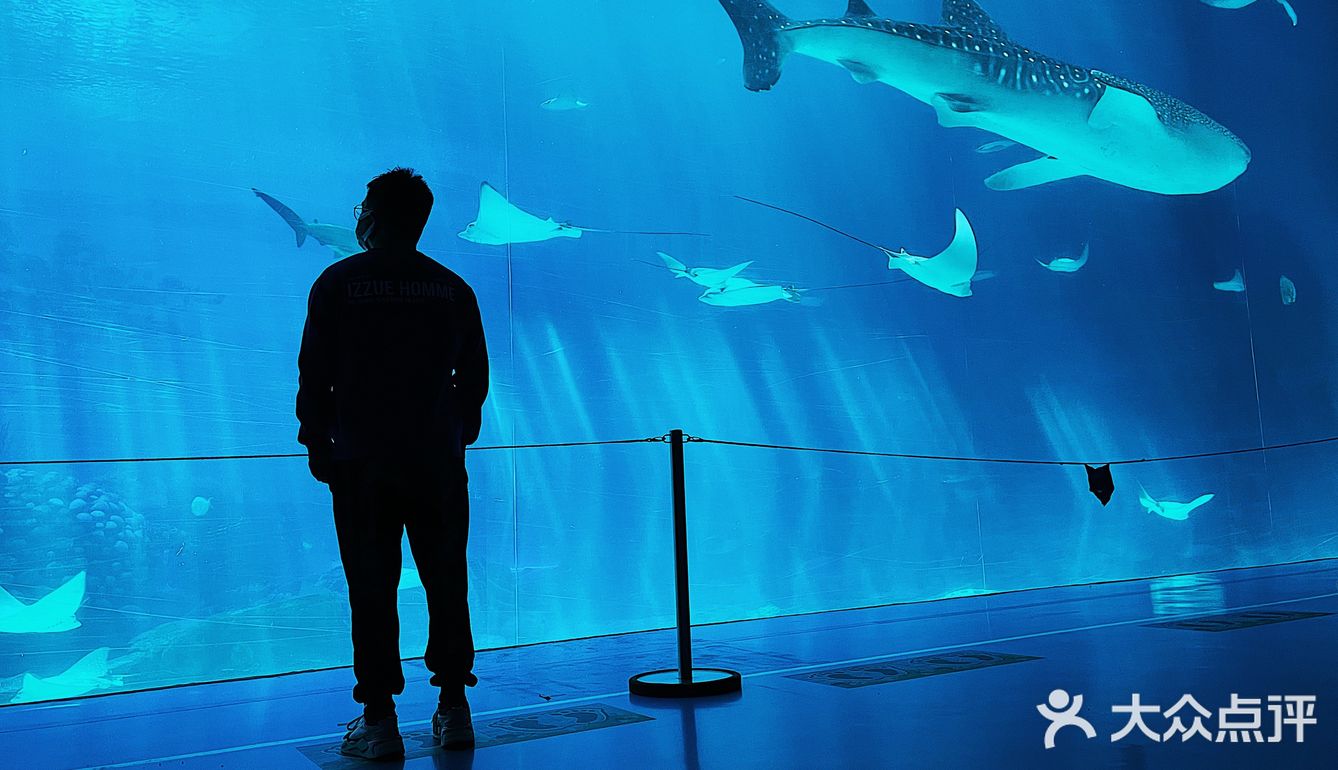 🐳长隆海洋王国的正确解锁方式