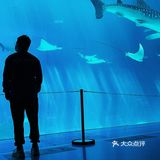 🐳长隆海洋王国的正确解锁方式