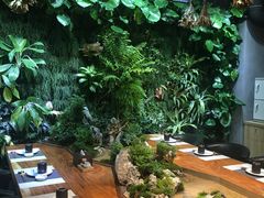 -森味薪火烧•烧鸟居酒屋•日本料理(望京店)