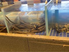 水产区-船歌·鱼水饺青岛菜(闽江二路店)