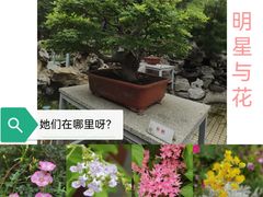 -北京市劳动人民文化宫