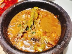 白洋淀石锅嘎鱼-小放牛炒菜馆(裕华万达店)