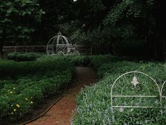 -香山公园