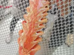 -小红旗臭豆腐炸冷面(万达店)