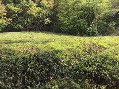 -敬亭山风景名胜区