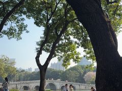 -荔湾湖公园