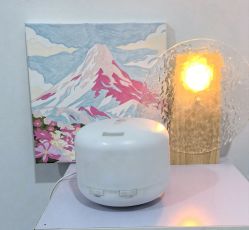 -黎蓓露·徒手骨雕蛋白抗衰·调肤管理