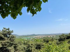 -北京西山国家森林公园