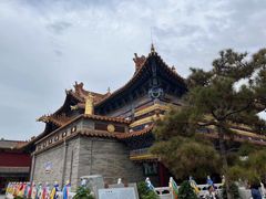 -大召无量寺