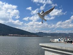-海埂大坝
