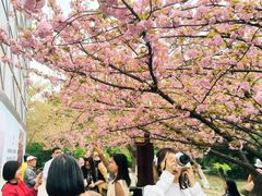 -西安青龙寺遗址景区