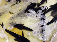 -魏铭鱼头捞饭(晋阳路店)