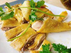 白切文昌鸡-墨脱石锅椰子鸡•香草鸭•东山羊(大东海店)