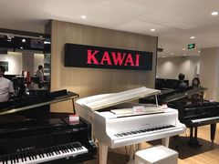 -柏斯琴行(汾阳店)