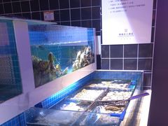 -花西亭·海鲜自助餐厅(瑞城名人酒店)