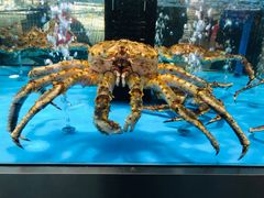 -麦德龙(郑东店)