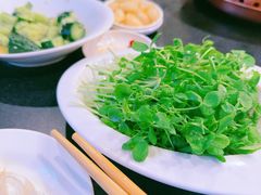 豆苗-南门涮肉(北洼路店)