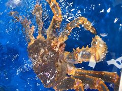 -盒马渔市(平高企业集团·平高广场店)