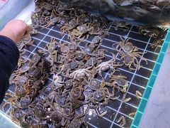 -聚盛源蒸汽海鲜火锅烤肉自助(巨川金海岸购物广场店)