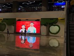 -中国宋庆龄青少年科技文化交流中心