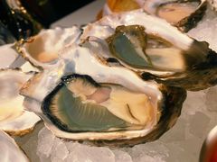 -Oyster Talks 四度蚝法餐厅