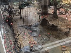 -麒麟中餐厅·经典粤菜·地道菜式老字号(广州长隆酒店)