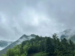 -老虎土菜馆·农家土菜