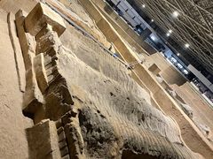-秦始皇帝陵博物院(兵马俑)