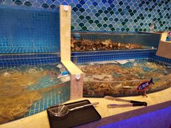 水产区-乔哥铭洋海鲜自助(皇城恒隆广场店)