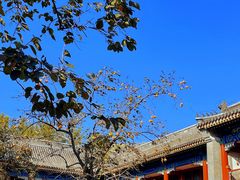 -北京石刻艺术博物馆(五塔寺)