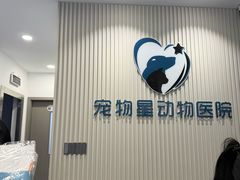 -宠物星动物医院·眼科·异宠·猫科(江南大道总院)