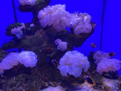 -多彩贵州城极地海洋世界