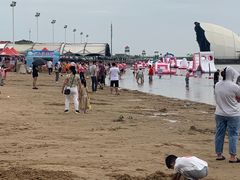 -碧海金沙
