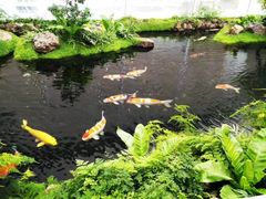 -罗红摄影艺术馆