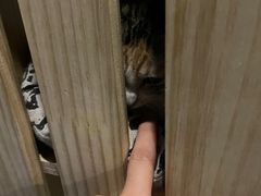 -Mr.Fox狐狸先生超级密室(南山店)