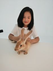 -莫奈庄园·儿童摄影馆·影视基地(江宁店)